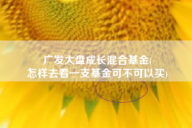 广发大盘成长混合基金(
怎样去看一支基金可不可以买) 广发大盘成长混合基金(
怎样去看一支基金可不可以买)