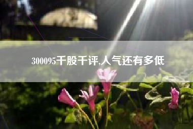 300095千股千评,人气还有多低