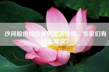 沙河股份股价涨势能否持续，专家们有什么建议？