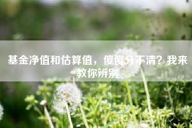 基金净值和估算值，傻傻分不清？我来教你辨别