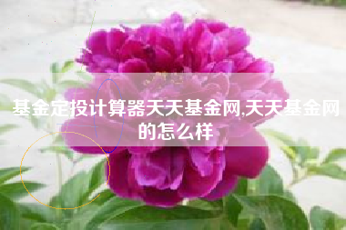 基金定投计算器天天基金网,天天基金网的怎么样