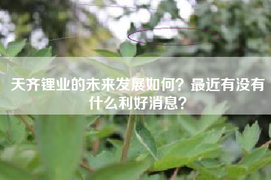 天齐锂业的未来发展如何？最近有没有什么利好消息？