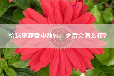 怡球资源盘中涨5%，之后会怎么样？