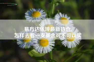 易方达张坤最新持仓,
怎样去看一支基金可不可以买