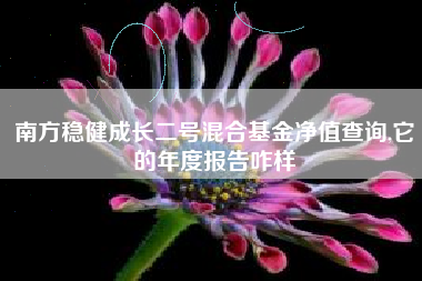 南方稳健成长二号混合基金净值查询,它的年度报告咋样