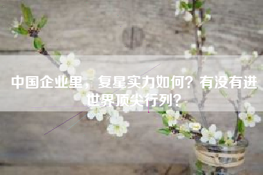 中国企业里，复星实力如何？有没有进世界顶尖行列？