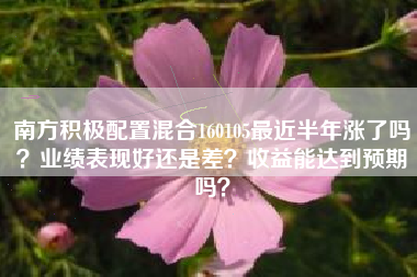 南方积极配置混合160105最近半年涨了吗？业绩表现好还是差？收益能达到预期吗？