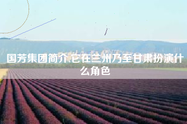 国芳集团简介,它在兰州乃至甘肃扮演什么角色