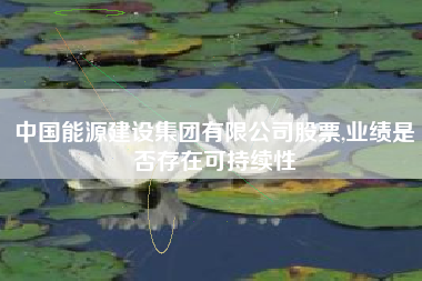 中国能源建设集团有限公司股票,业绩是否存在可持续性