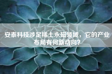 安泰科技涉足稀土永磁领域，它的产业布局有何新动向？