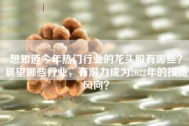 想知道今年热门行业的龙头股有哪些？展望哪些行业，有潜力成为2022年的投资风向？