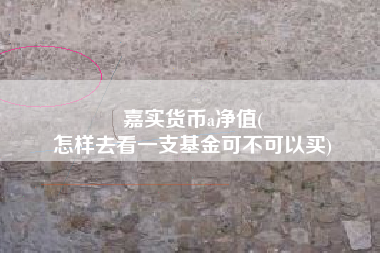 嘉实货币a净值(
怎样去看一支基金可不可以买)