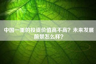 中国一重的投资价值高不高？未来发展前景怎么样？