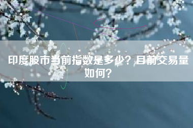 印度股市当前指数是多少？目前交易量如何？