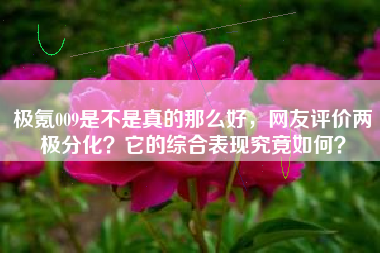 极氪009是不是真的那么好，网友评价两极分化？它的综合表现究竟如何？