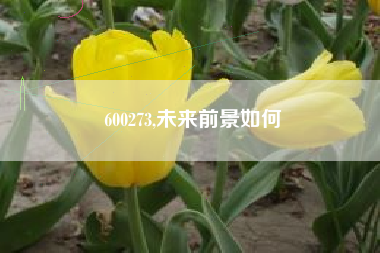 600273,未来前景如何