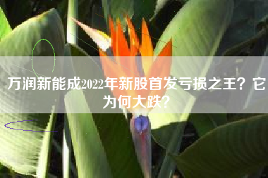 万润新能成2022年新股首发亏损之王？它为何大跌？