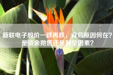 新联电子股价一跌再跌，背后原因何在？是资金抛售还是利空因素？