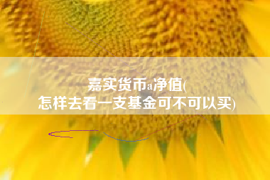 嘉实货币a净值(
怎样去看一支基金可不可以买)