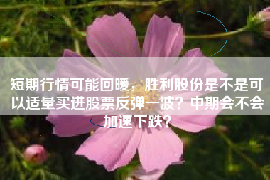 短期行情可能回暖，胜利股份是不是可以适量买进股票反弹一波？中期会不会加速下跌？