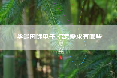 华能国际电子,招聘需求有哪些