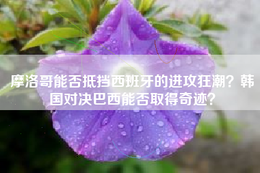 摩洛哥能否抵挡西班牙的进攻狂潮？韩国对决巴西能否取得奇迹？