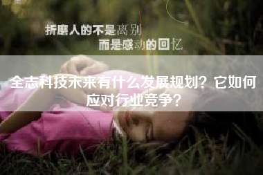 全志科技未来有什么发展规划？它如何应对行业竞争？