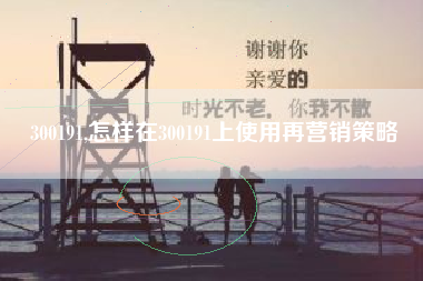 300191,怎样在300191上使用再营销策略