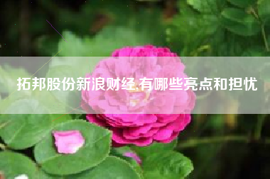 拓邦股份新浪财经,有哪些亮点和担忧