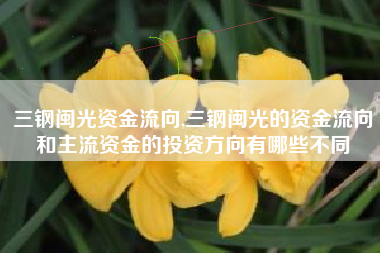 三钢闽光资金流向,三钢闽光的资金流向和主流资金的投资方向有哪些不同