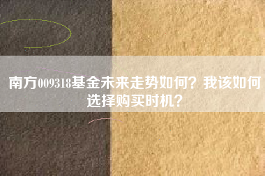 南方009318基金未来走势如何？我该如何选择购买时机？