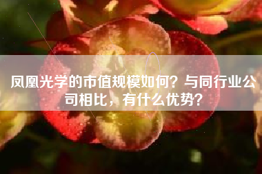凤凰光学的市值规模如何？与同行业公司相比，有什么优势？