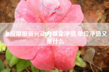 上投摩根新兴动力基金净值,单位净值又是什么