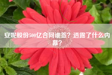 安妮股份500亿合同谁签？透露了什么内幕？