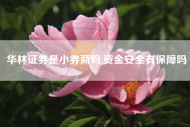 华林证券是小券商吗,资金安全有保障吗