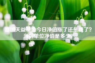富国天益基金今日净值涨了还是跌了？当前单位净值是多少？