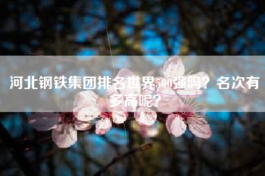 河北钢铁集团排名世界500强吗？名次有多高呢？