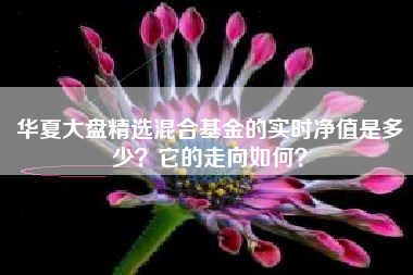 华夏大盘精选混合基金的实时净值是多少？它的走向如何？