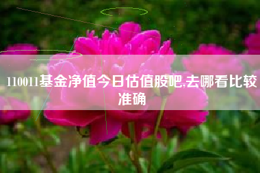 110011基金净值今日估值股吧,去哪看比较准确