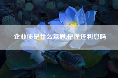 企业债是什么意思,是逢还利息吗