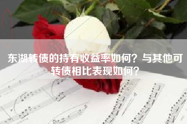 东湖转债的持有收益率如何？与其他可转债相比表现如何？