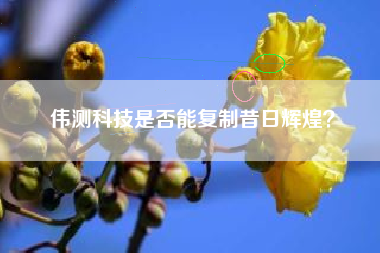 伟测科技是否能复制昔日辉煌？