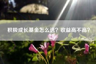 积极成长基金怎么选？收益高不高？