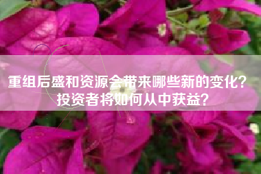 重组后盛和资源会带来哪些新的变化？ 投资者将如何从中获益？