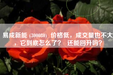 易成新能 (300080)  价格低，成交量也不大，它到底怎么了？  还能回升吗？