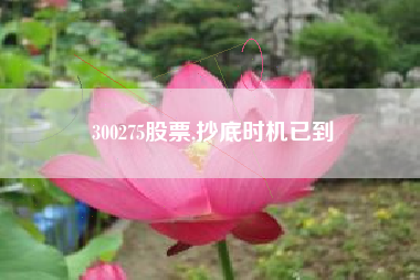 300275股票,抄底时机已到