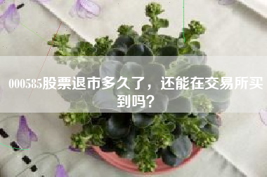 000585股票退市多久了，还能在交易所买到吗？