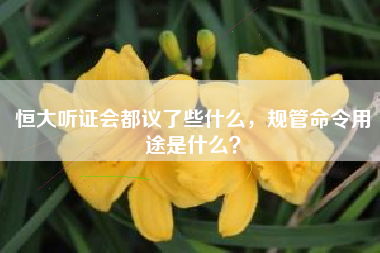 恒大听证会都议了些什么，规管命令用途是什么？