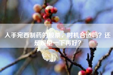 入手宛西制药的股票，时机合适吗？还是观望一下再好？