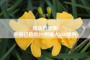 哈医药股票(
中国已检出199例输入XBB病例)